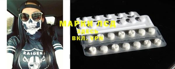 прущие грибы Алексеевка