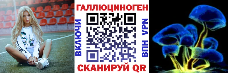 Псилоцибиновые грибы Psilocybine cubensis  сколько стоит  Алдан 